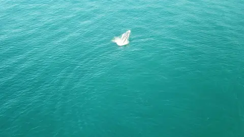 Foto: Carlos Eduardo Hernández.