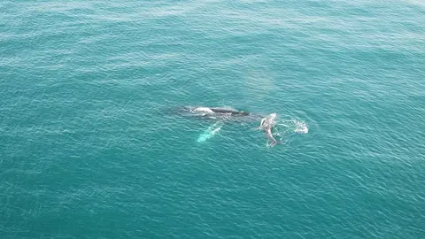 Foto: Carlos Eduardo Hernández.
