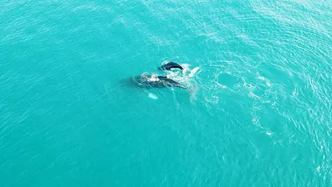 Foto: Carlos Eduardo Hernández.