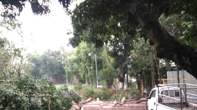 Parque Las Araucarias