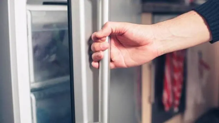 LIFE HEALTH-FREEZER MYO