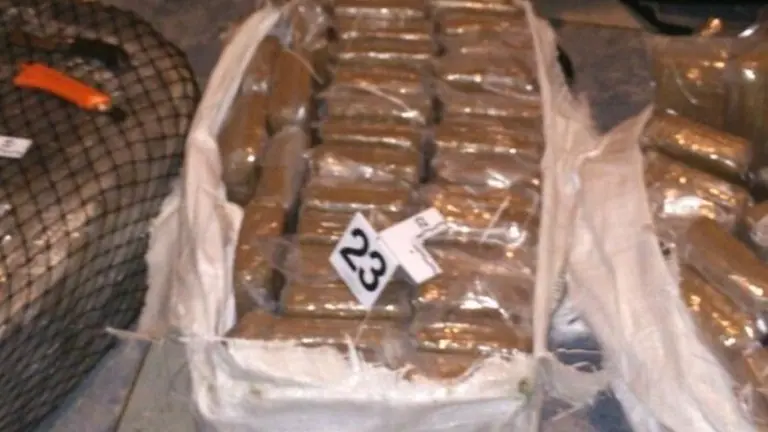 Alijo de droga incautada