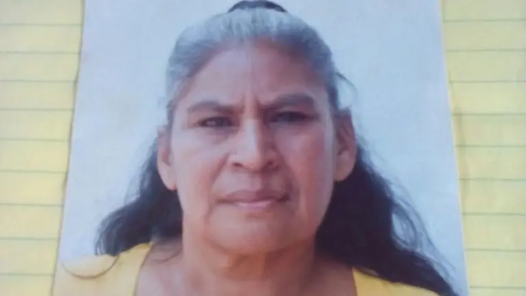 señora desaparecida