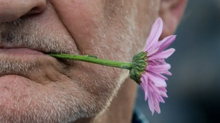 <p>Varios colombianos celebran en la plaza Botero en Medellín el cese del fuego definitivo entre las FARC y el gobierno de Colombia el 23 de junio de 2016</p>