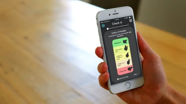 Kiwi App