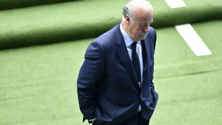 <p>Vicente del Bosque en un partido del seleccionado español ante República Checa por la Eurocopa, el 13 de junio de 2016, en Toulouse (Francia)</p>