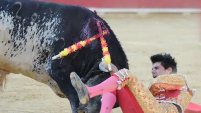 toro lorenzo