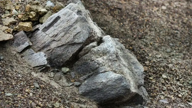 <p>Un fósil de un femur de un Hadrosaurio sobresale de la roca en el Cerro Guido en el sur de Chile el 24 de febrero de 2016</p>