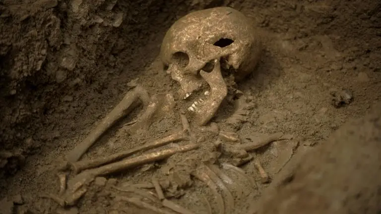 <p>Restos hallados en una necrópolis merovingia en Echenoz-la-Meline en Francia, en una foto tomada el 11 de junio de 2008</p>