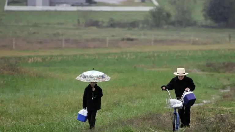 <p>Unos niños amish acuden al colegio el 6 de octubre de 2006 en Nickel Mines (Pensilvania, EEUU)</p>
