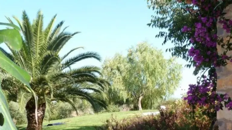 319eaefd2d55d48c623457aff6328879