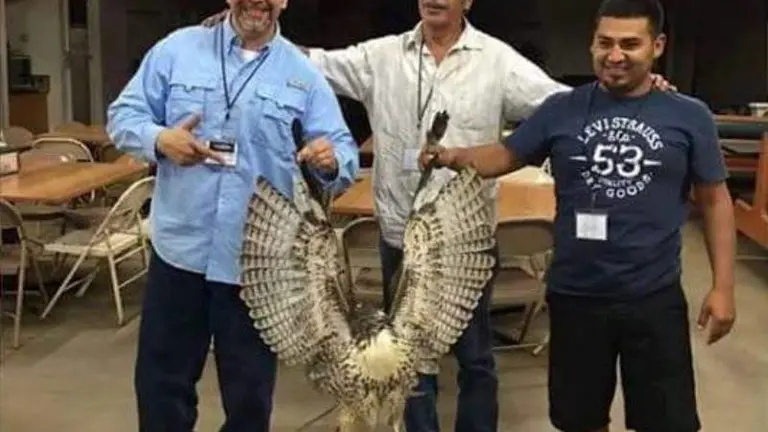 Toby sostiene águila