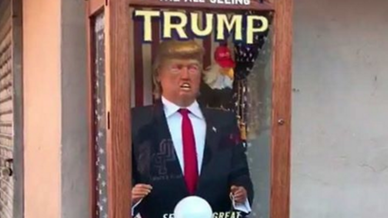 Zoltar
