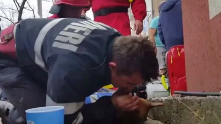 Bombero da respiración a perro