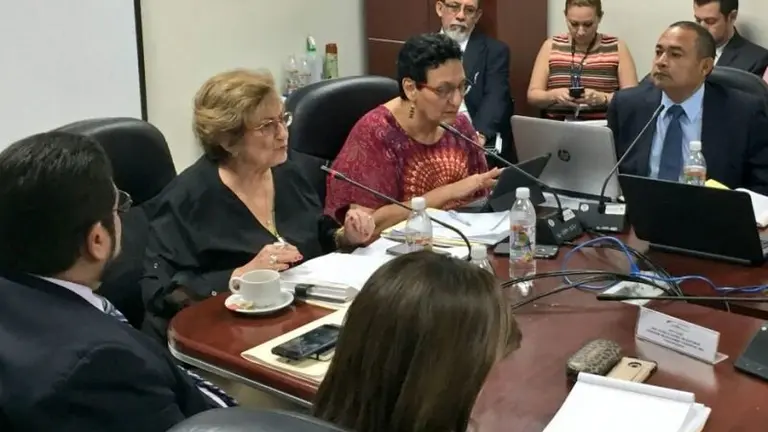 Milena en comisión Seguridad
