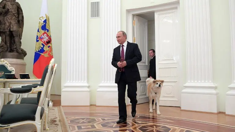 A picture taken on December 7, 2016 shows Russian President Vladimir Putin as he arrives with his Yume, an Akita dog, prior to an interview by Nippon Television Network Corporation and Yomiuri Shimbun in the run-up to his official visit to Japan.  / AFP PHOTO / SPUTNIK / Alexey DRUZHININ