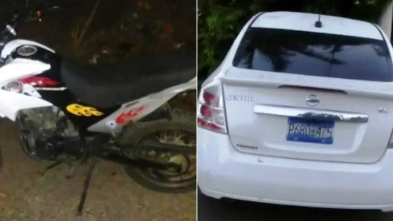 capturas y decomisos