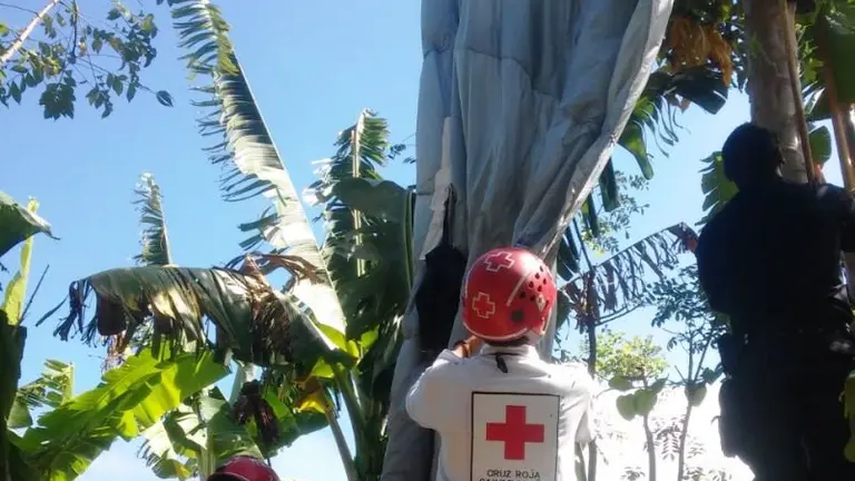 paracaidistas