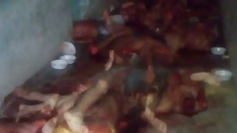 Handout picture taken with a cell phone by a PM militarized police officer showing the corpses of the inmates killed in a riot in the PAMC (Agricola de Monte Cristo Penitentiary) in Roraima, northern Brazil on January 6, 2017.
At least 33 inmates were killed by their rivals at a prison in northern Brazil on Friday, days after a riot by warring gangs left dozens more dead at another prison, officials said. / AFP PHOTO / HO / GRAPHIC CONTENT