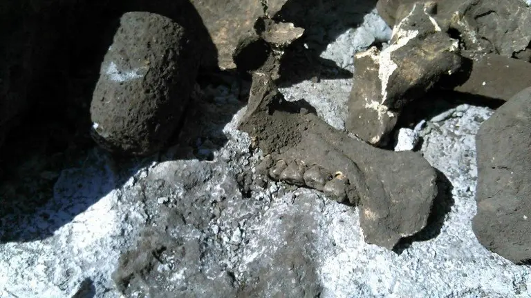 Foto Facebook Fiscalía de Morelos, México