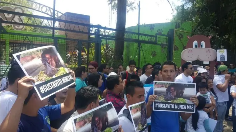 Organizaciones piden el cierre del Zoológico