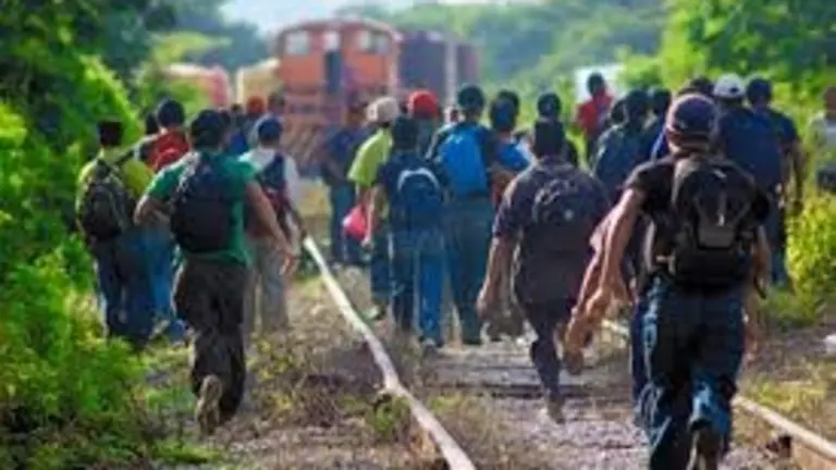 migración