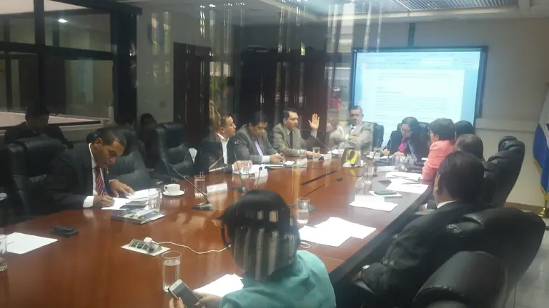 Comisión de asuntos electorales