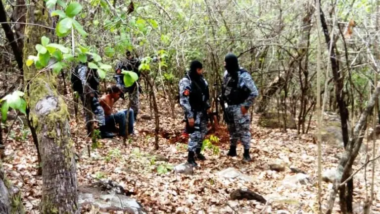 8c3455be-6482-4c1b-9d8c-de5271c9d9ee