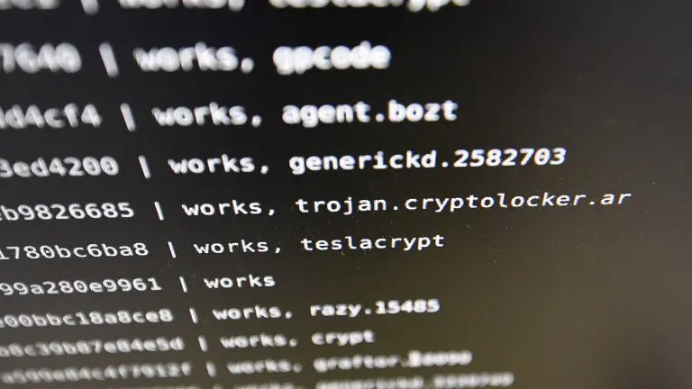 (FILES) This file photo taken on November 3, 2016 in Rennes shows a screen viruses list at the LHS (High Security Laboratory) of the INRIA (National Institute for Research in Computer Science and Automation).
A major wave of cyberattacks hits dozens of countries around the world on May 12, 2017, affecting hospitals, telecoms companies, government departments and other organisations / AFP PHOTO / DAMIEN MEYER