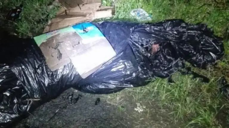 Asesinado en las cañas