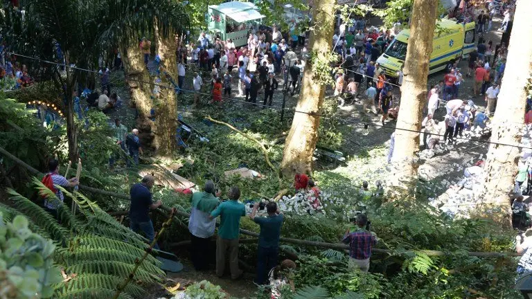 Árbol cae y mata a 13 en Madeira, Portugal