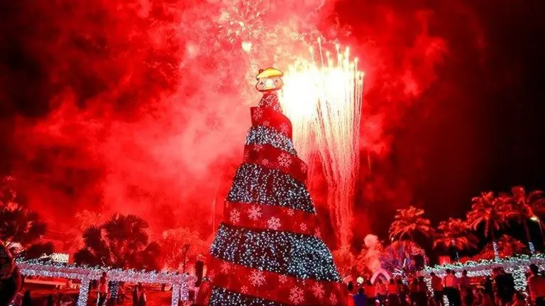 Davivienda navidad 1