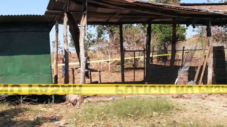 2d2fc8c8-28d5-4d1c-a320-22a0853bd850