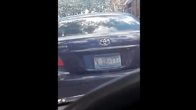 video carro