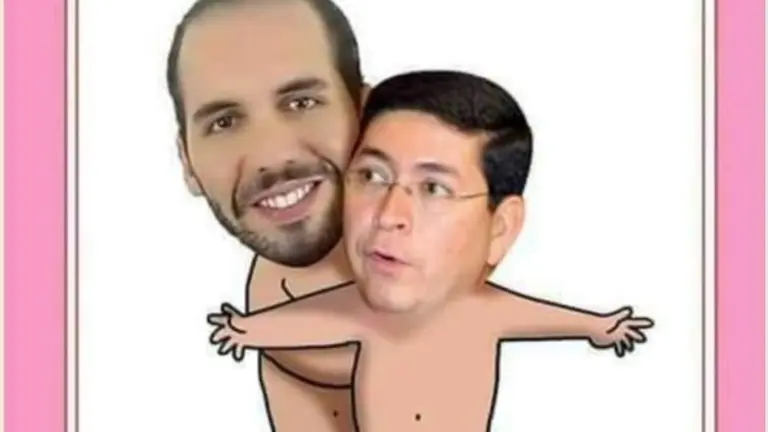 meme nayib