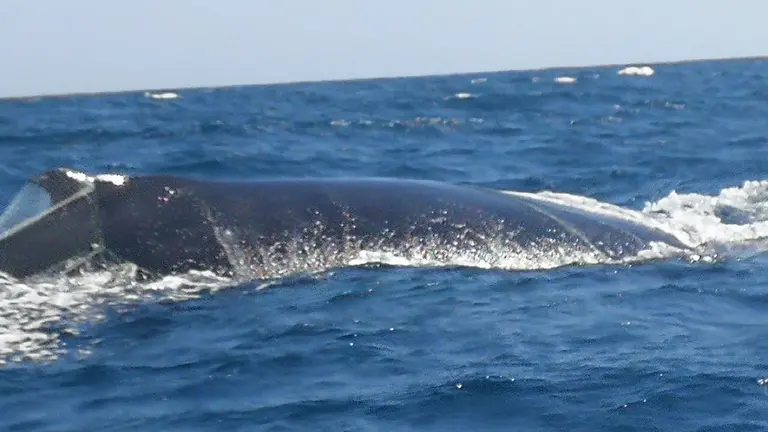 2FB295B1-16B3-4702-8152-3182AD3973B2