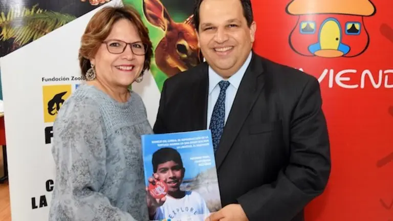 DAVIVIENDA TORTUGAS 1