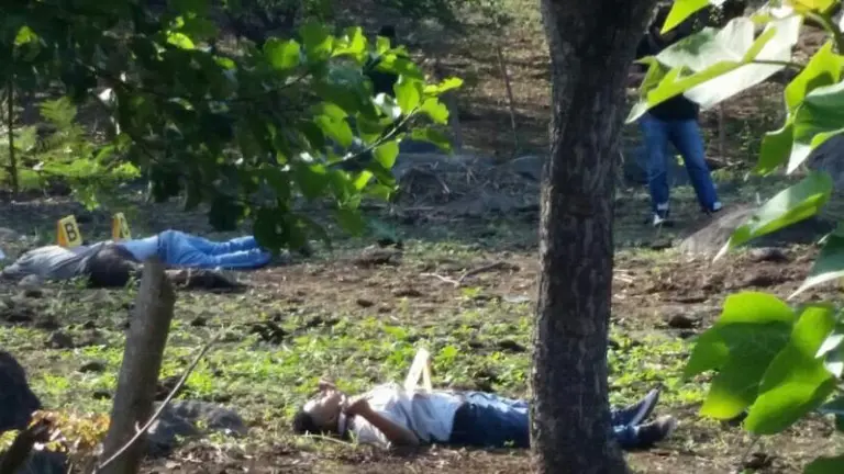 7dbd5275-42fa-4be1-8f49-2abf633bd8ca