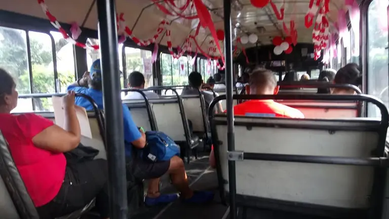 bus