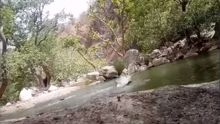 india ahogados videos