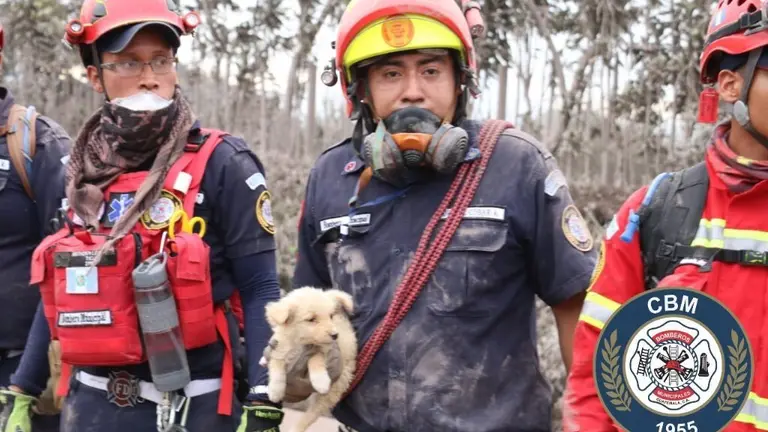 Bombero con perro rescatado