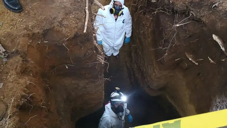 WhatsApp Image 2018-06-13 at 2.01.46 PM