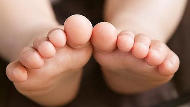 Imagen de referencia