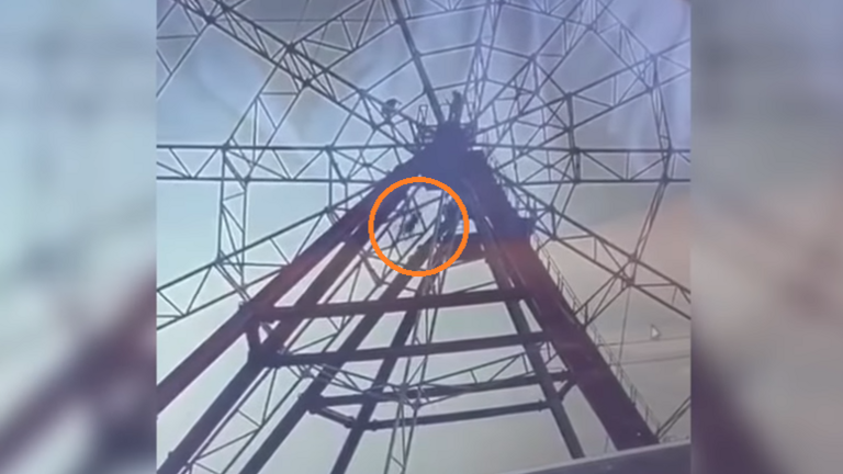 Imagen captura de pantalla