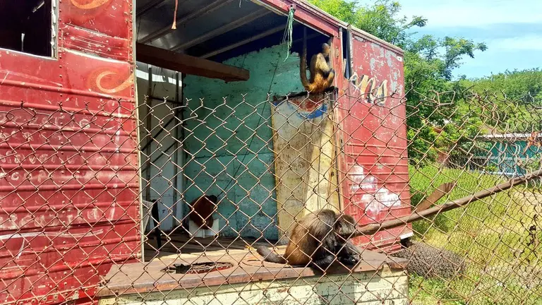 Foto tomada del Twitter del Ministerio de Medio Ambiente