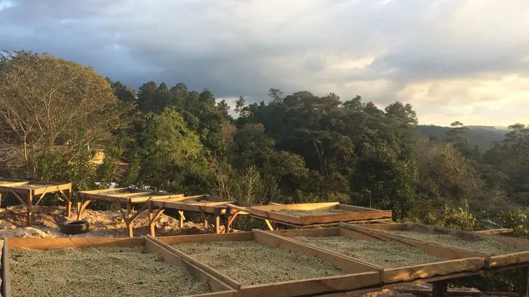 WhatsApp Image 2018-07-13 at 12.24.27