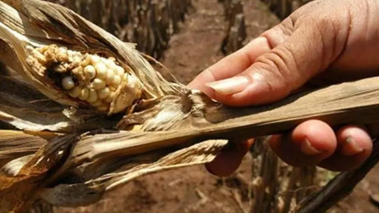 Imagen de referencia tomada de Estrategia y Negocios