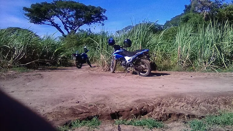 Moto agente CAM