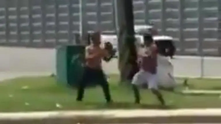 Imagen captura de pantalla del video