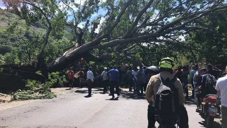 WhatsApp Image 2018-08-30 at 10.17.12 AM